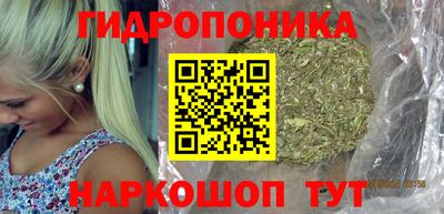 мдпв Лесосибирск