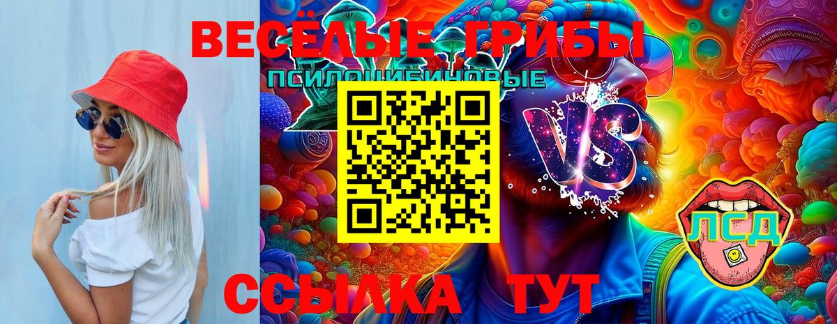 Псилоцибиновые грибы мицелий Звенигород