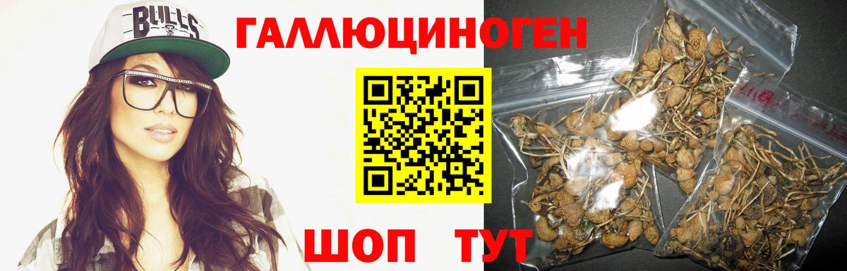 Псилоцибиновые грибы мухоморы  Псилоцибиновые грибы мицелий  Вход с VPN  Звенигород 